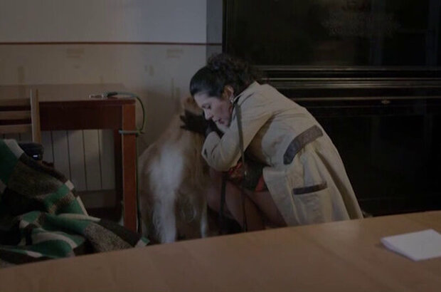 Shkamutk (2014) - photo 2