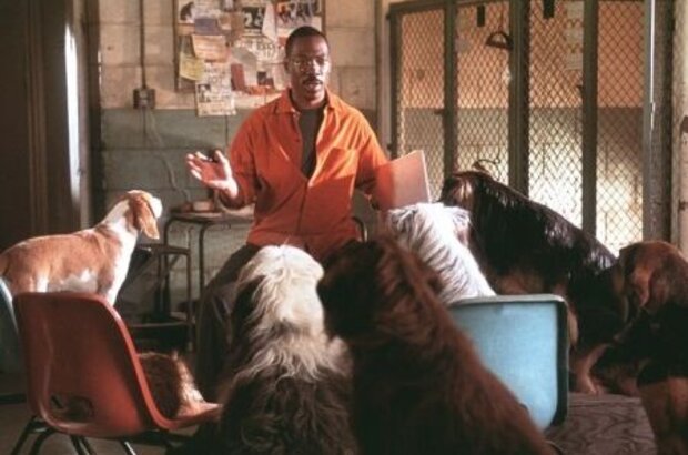 Dr. Dolittle 2 (2001) - photo 1