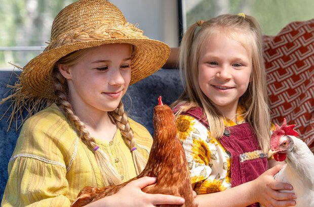 Hayflower, Quiltshoe and the Chicken (2024) - photo 1