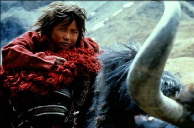 Himalaya (1999) - photo 2