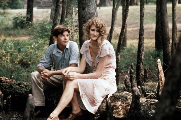 Rambling Rose (1991) - photo 4