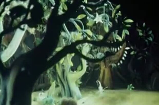 Yozhik plus Cherepakha (1981) - photo 3