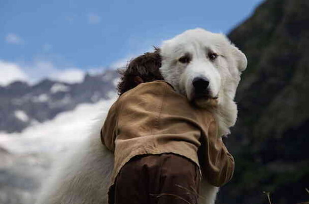 Belle & Sebastian: The Adventure Continues (2015) - photo 11