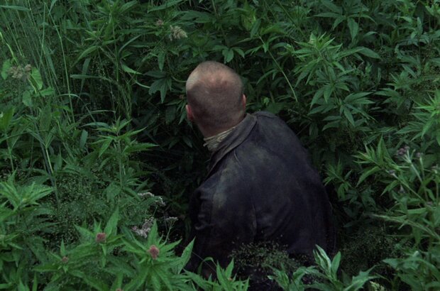 Stalker (1979) - photo 7