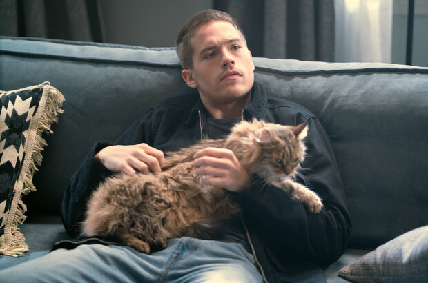 Beautiful Disaster (2023) - photo 3