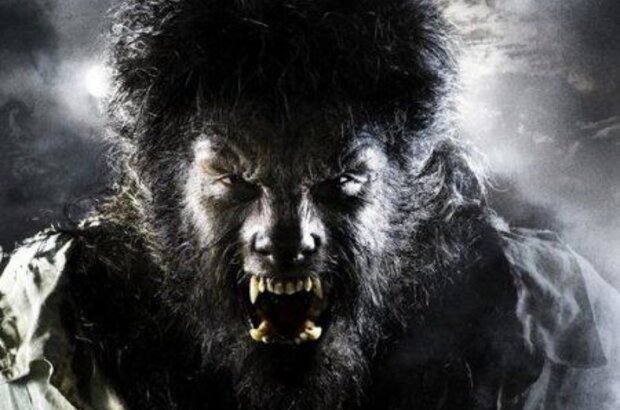 The Wolfman (2010) - photo 1