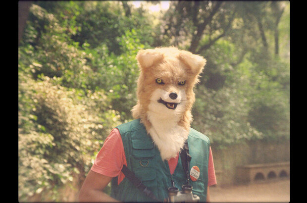 ШОК-Shorts 2 (2021) - photo 5