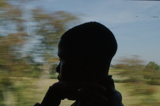 Madu (2024) - photo 1