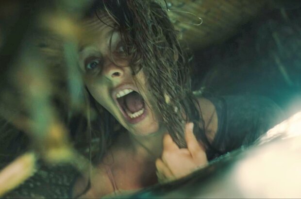 The Requin (2022) - photo 2
