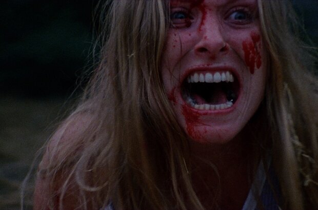 The Texas Chain Saw Massacre (1974) - photo 5