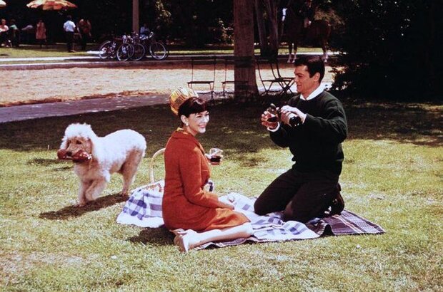 Wild and Wonderful (1964) - photo 1
