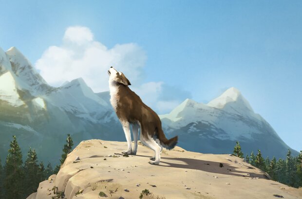 White Fang (2018) - photo 1