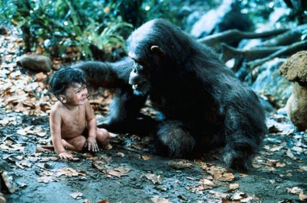Greystoke: The Legend of Tarzan, Lord of the Apes (1984) - photo 7