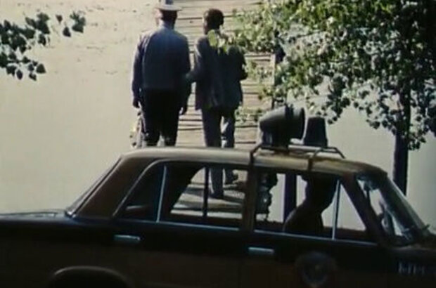 A strip of uncut wild flowers (1979) - photo 9