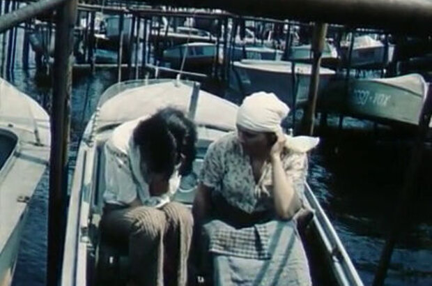 A strip of uncut wild flowers (1979) - photo 11