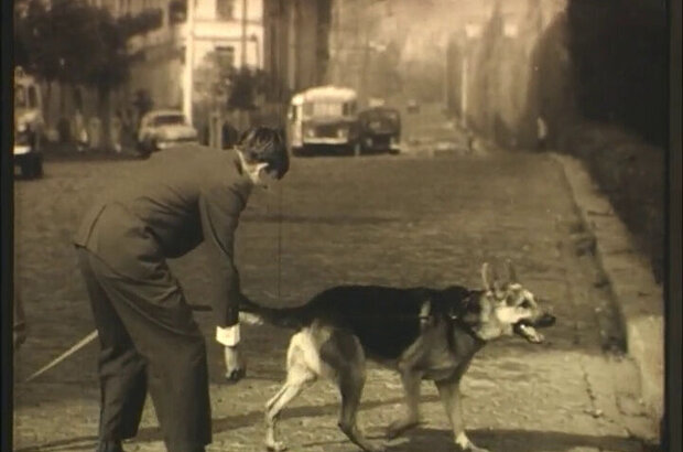 Much trouble over a little boy (1968) - photo 4