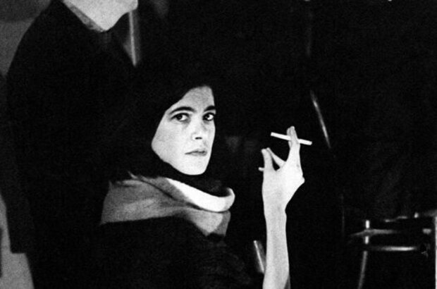 Regarding Susan Sontag (2014) - photo 5
