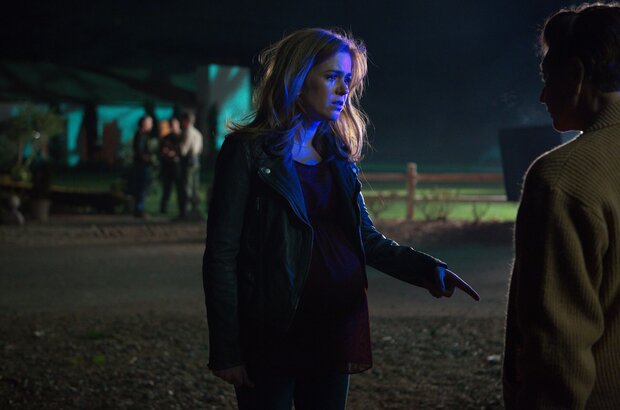 Visions (2015) - photo 8