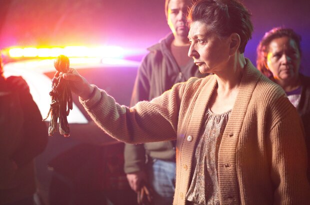 Visions (2015) - photo 10