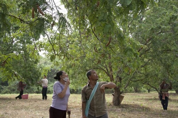 Uncle Boonmee Who Can Recall His Past Lives (2010) - photo 13