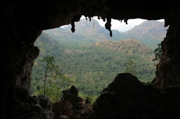 Uncle Boonmee Who Can Recall His Past Lives (2010) - photo 6