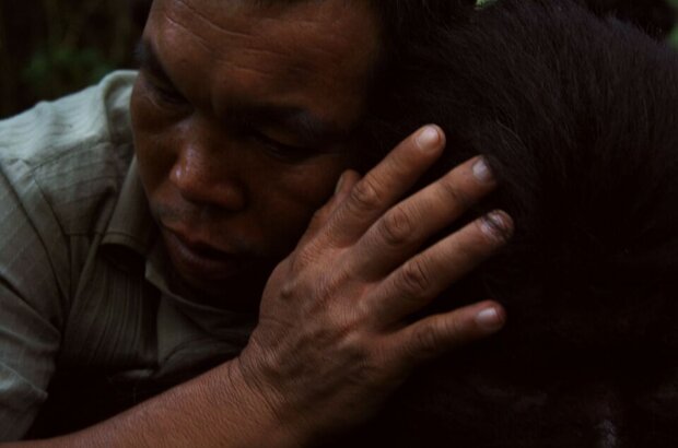 Uncle Boonmee Who Can Recall His Past Lives (2010) - photo 10