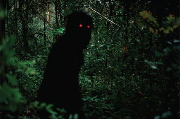 Uncle Boonmee Who Can Recall His Past Lives (2010) - photo 1