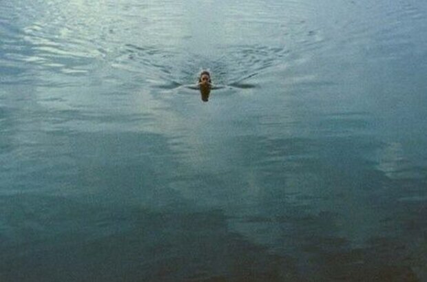 Окно в лето (2011) - фото 4