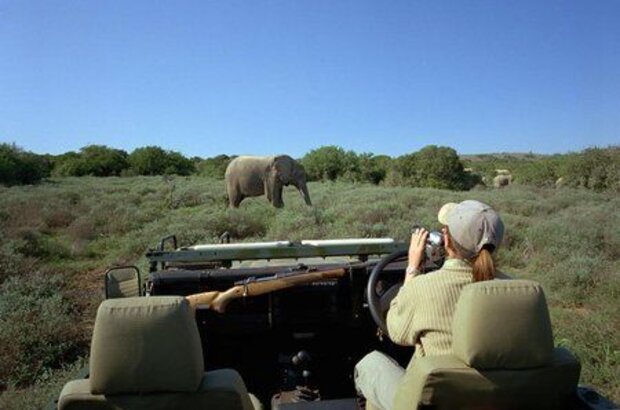 Wild Safari 3D (2005) - photo 6