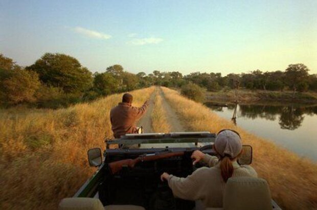 Wild Safari 3D (2005) - photo 5