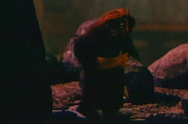 Vanusha i velikan (1993) - photo 7