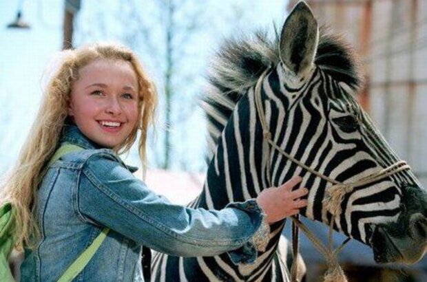 Racing Stripes (2005) - photo 1