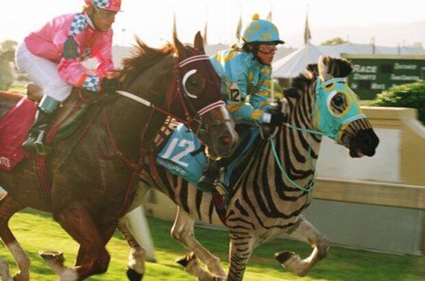 Racing Stripes (2005) - photo 2