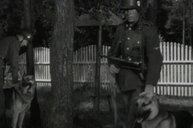 Grasp the nettle and it will not sting you (1971) - photo 6