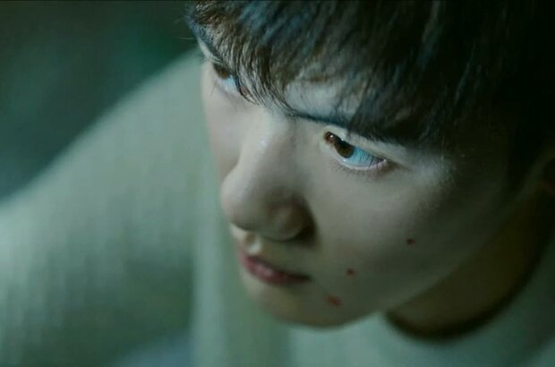 Brief History of a Family (2024) - photo 3