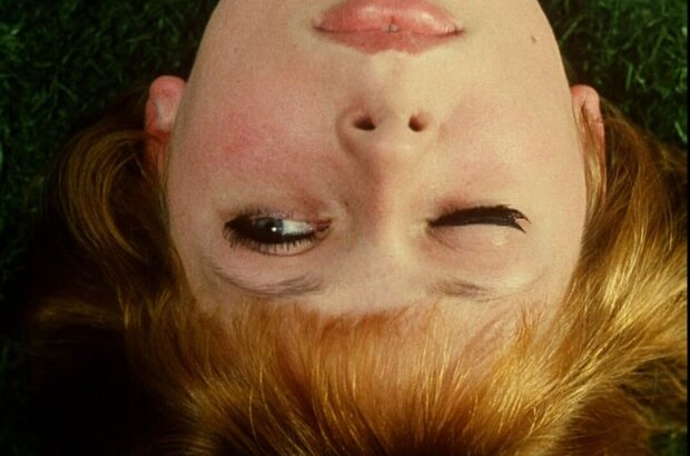 Daisies (1966) - photo 6