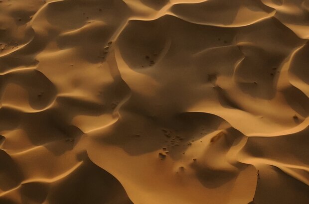 Isatis (2021) - photo 5