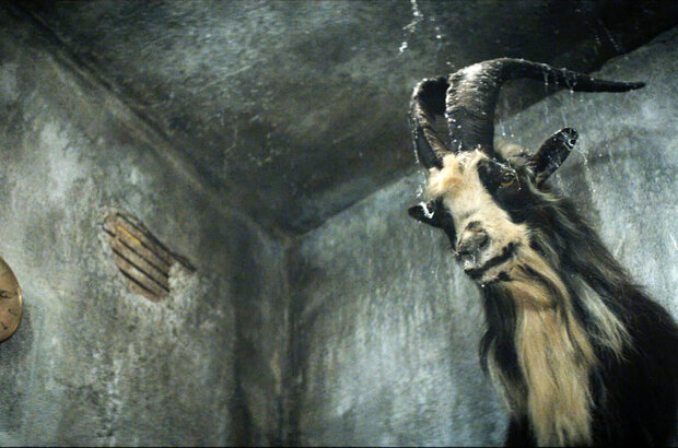 Shepherd (2021) - photo 11