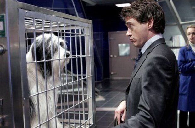 The Shaggy Dog (2006) - photo 5