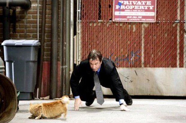 The Shaggy Dog (2006) - photo 2