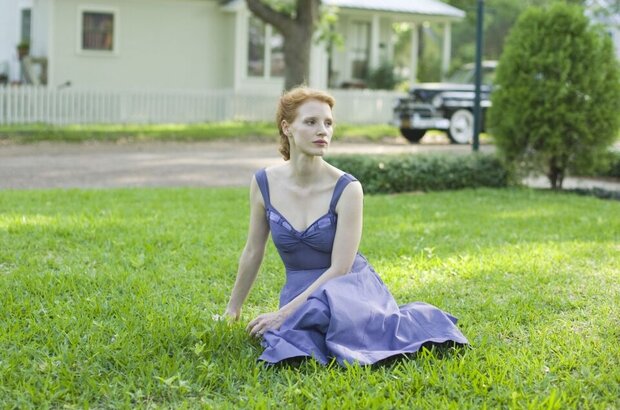 The Tree of Life (2010) - photo 8