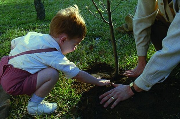 The Tree of Life (2010) - photo 23