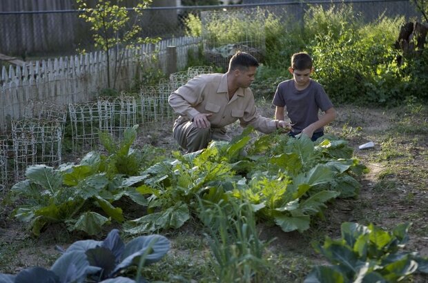 The Tree of Life (2010) - photo 24