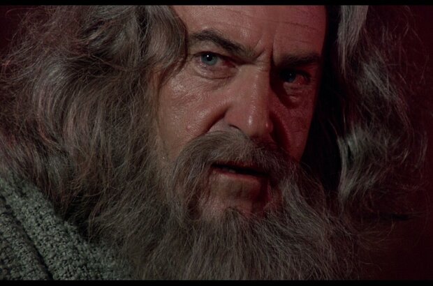 Sinbad and the Eye of the Tiger (1977) - photo 8