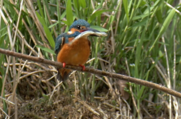 The River — Odyssey of Life (2013) - photo 7