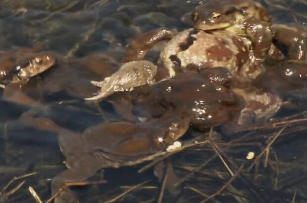The River — Odyssey of Life (2013) - photo 6