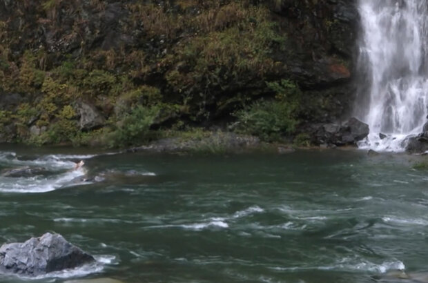 The River — Odyssey of Life (2013) - photo 4