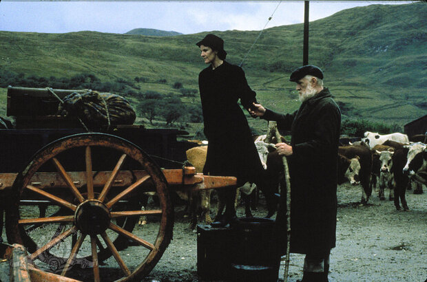The Field (1990) - photo 4