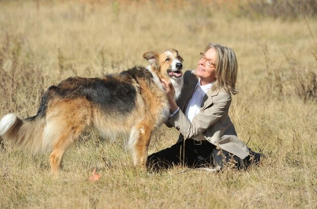 Darling Companion (2012) - photo 1