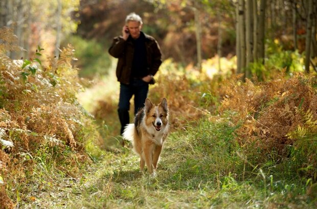 Darling Companion (2012) - photo 2